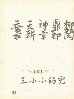 吞天神鼎柳无邪最新章节阅读