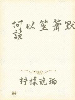 何以笙箫默 小说