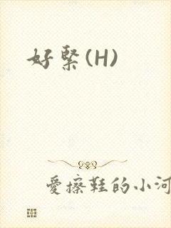 好紧(H)