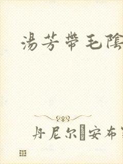 汤芳带毛阴部