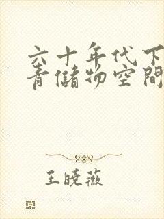 六十年代下乡知青储物空间