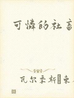 可怜的社畜小说