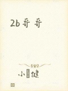 2b哥哥