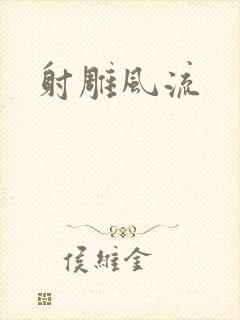 射雕风流