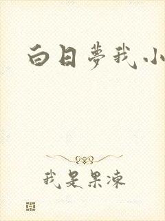 白日梦我小说
