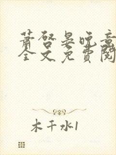 萧启晏晚意小说全文免费阅读