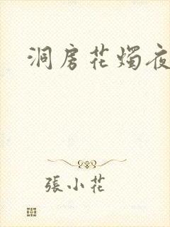 洞房花烛夜小说