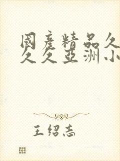 国产精品久久久久久亚洲小说