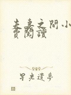 夫妻之间小说免费阅读