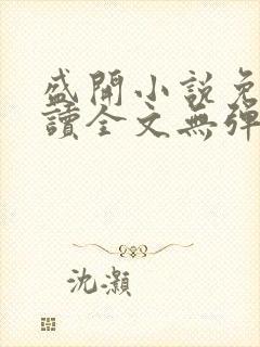 盛开小说免费阅读全文无弹窗