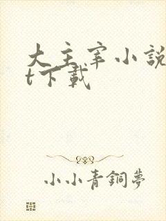 大主宰小说txt下载