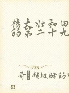 杨大壮和田桂花的第二十九