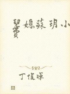 儿媳苏玥小说免费