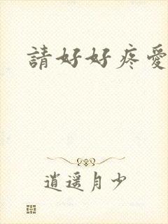 请好好疼爱里面