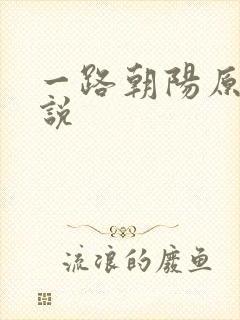 一路朝阳原著小说