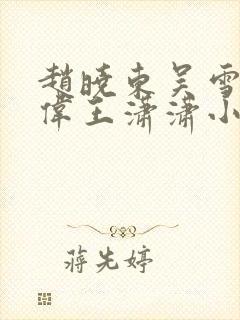 赵晓东吴雪晴郑伟王潇潇小说