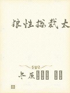 狼性总裁太凶猛