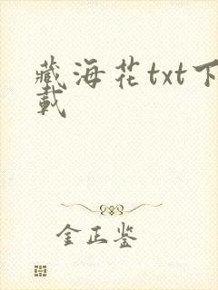 藏海花txt下载
