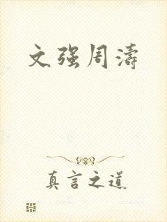 文强周涛