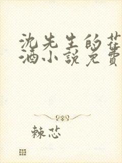 沈先生的花式调酒小说免费阅读