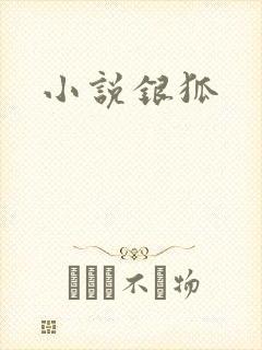 小说银狐