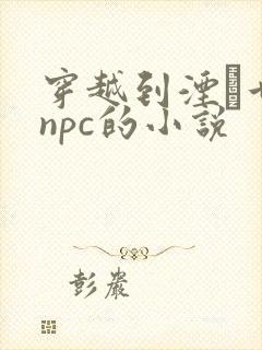 穿越到湮婸世界npc的小说