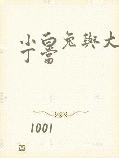 小白兔与大灰狼丁当