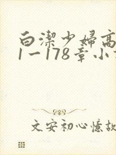 白洁少妇高义第1一178章小说