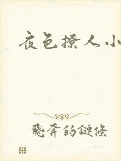 夜色撩人小说