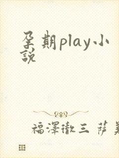 孕期play小说