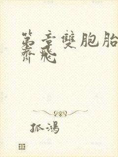 第章双胞胎姐妹齐飞