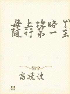 母上攻略 竹影随行第一主板