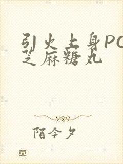 引火上身POP芝麻糖丸