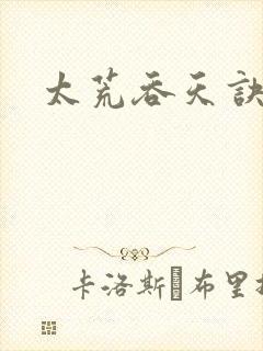 太荒吞天诀小说