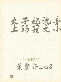 太子妃沈音和皇上的宠文小说