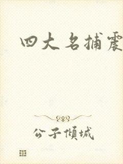 四大名捕震关东