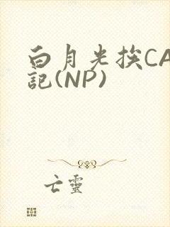 白月光挨CAO记(NP)
