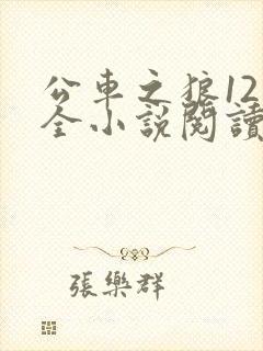 公车之狼12集全小说阅读