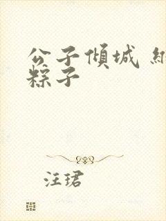 公子倾城 维和粽子