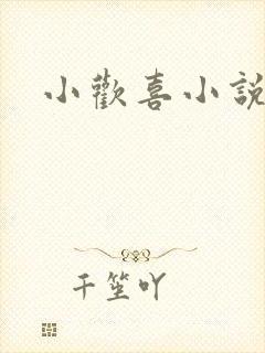 小欢喜小说