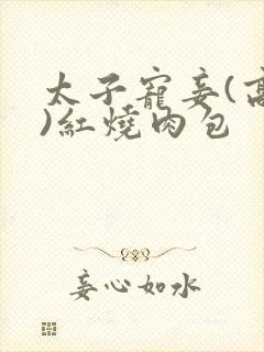 太子宠妾(高肉)红烧肉包