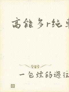 高能多r纯车