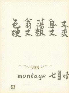 色翁荡息又大又硬又粗又爽电影