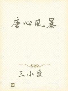 唐心风暴