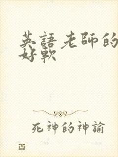 英语老师的兔子好软