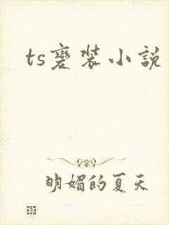 ts变装小说