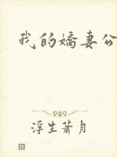 我的娇妻公务员