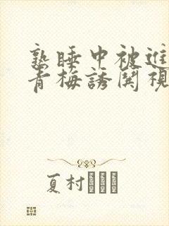 熟睡中被进了H青梅诱哄视频