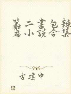 第二书包辣网短篇小说合集
