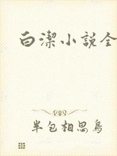 白洁小说全文
